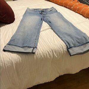 Kut from the Kloth Light Blue Flare Jeans